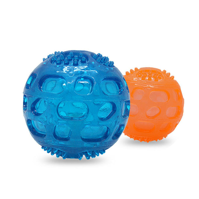 Squeaky Dog Ball