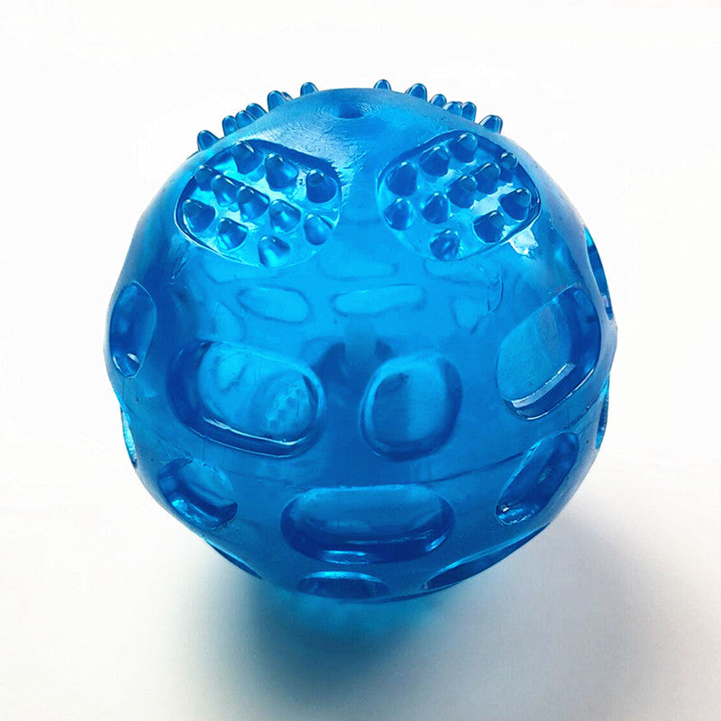 Squeaky Dog Ball