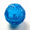 Squeaky Dog Ball
