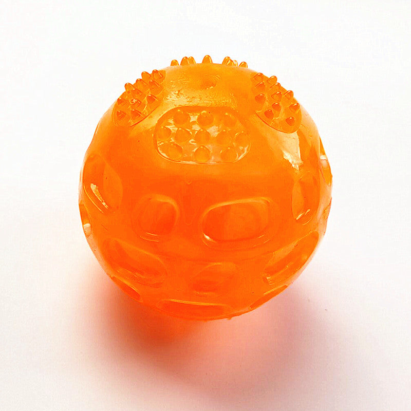 Squeaky Dog Ball