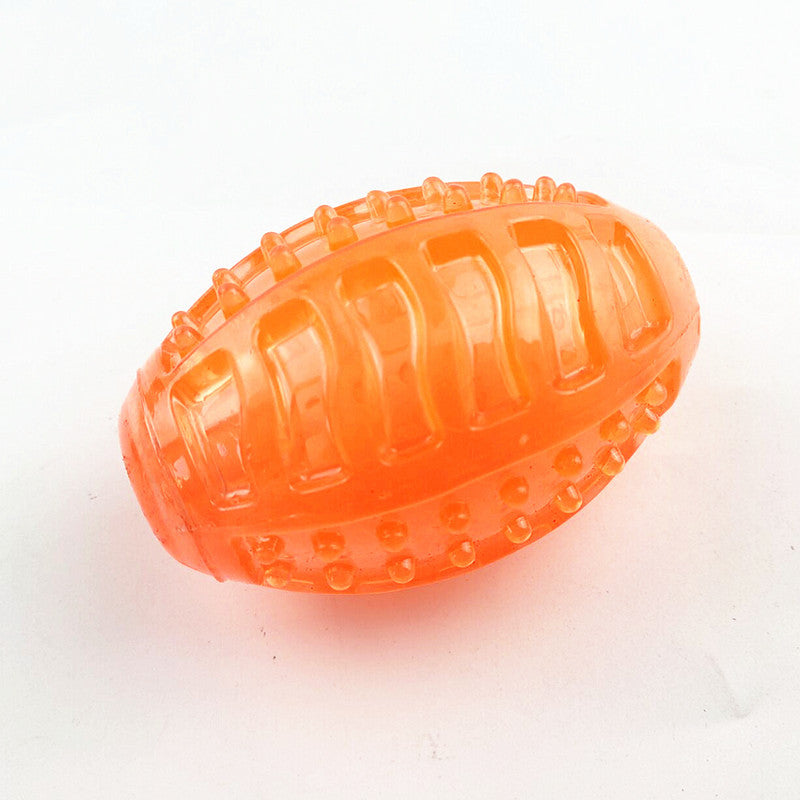 Squeaky Dog Ball