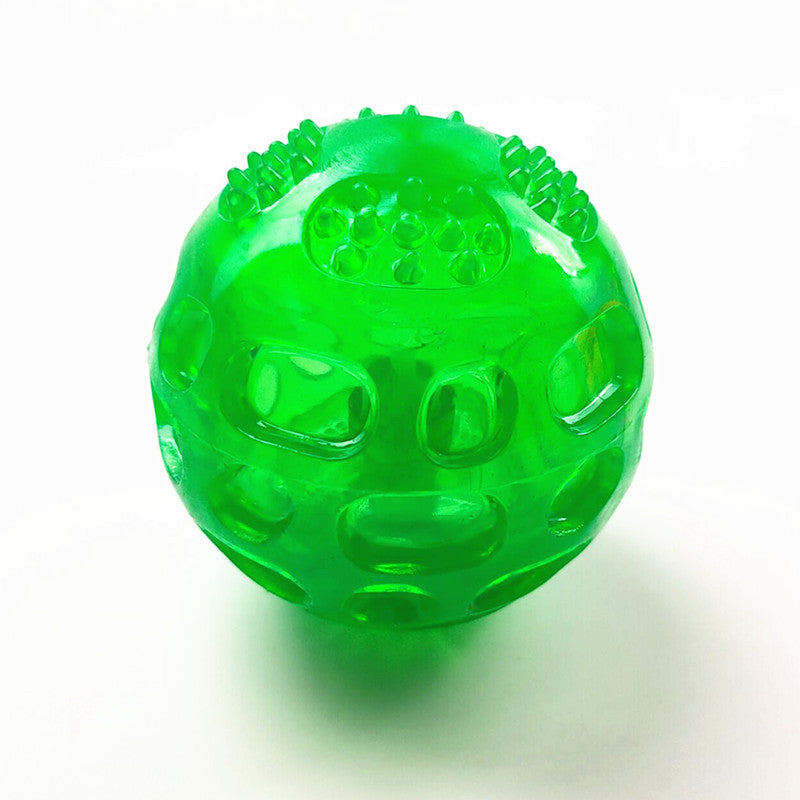 Squeaky Dog Ball