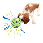 Giggle Ball