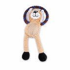 Squeaky And Crinkly Dog Toy