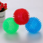 Spikey Squeaky Dog Ball