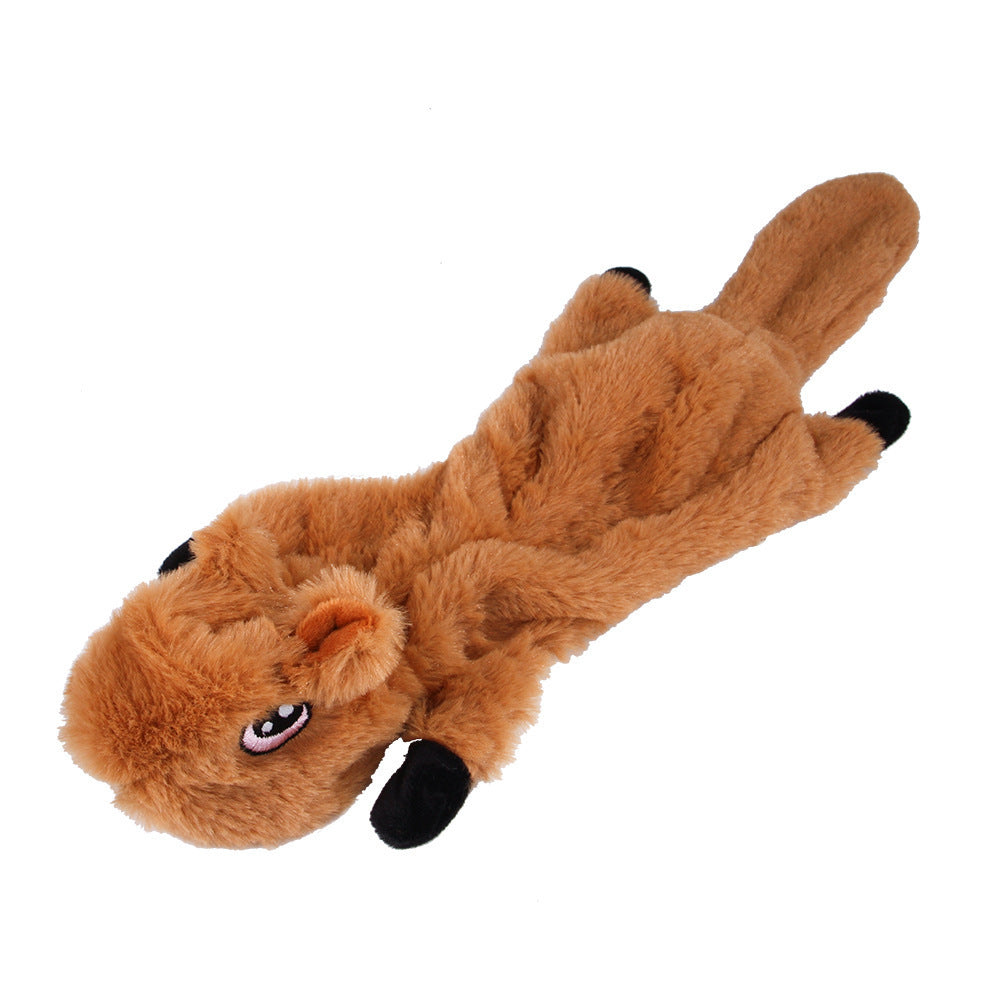 Squeaky And Crinkly Dog Toy