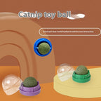 Catnip Oral Health Ball