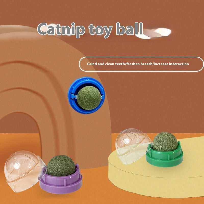Catnip Oral Health Ball