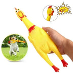 Squeaky Chicken Dog Toy