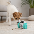 Automatic Pet Treat Dispenser
