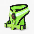 LED Harness