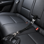 Pet Car Seat Belt