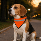 Reflective Bandanas