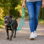 Reflective Dog Leads