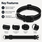 Reflective Collars