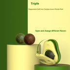 Catnip Oral Health Ball