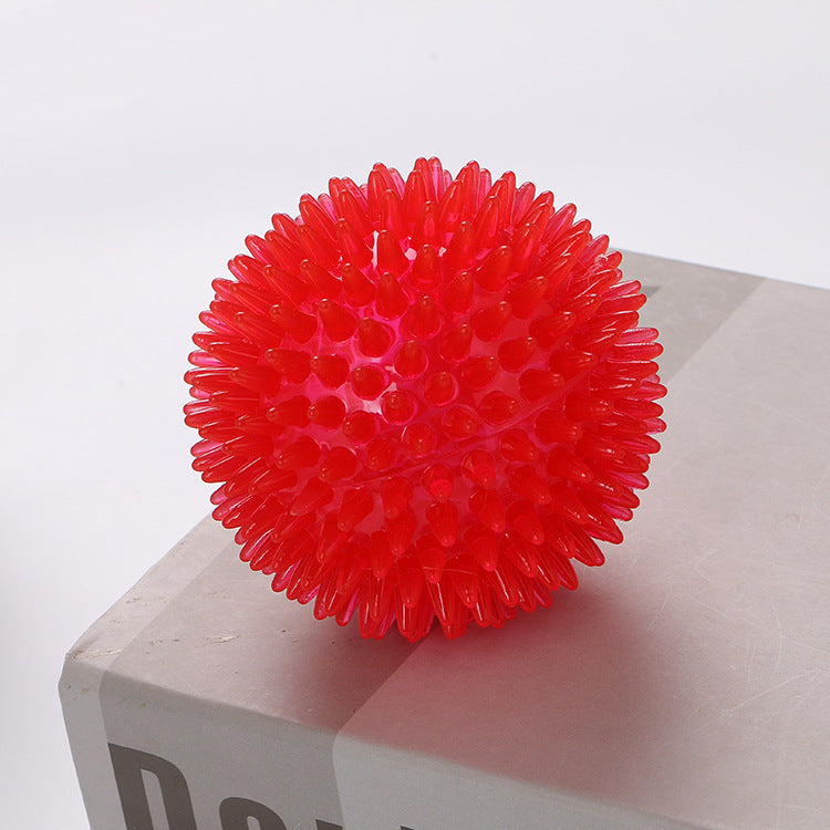 Spikey Squeaky Dog Ball