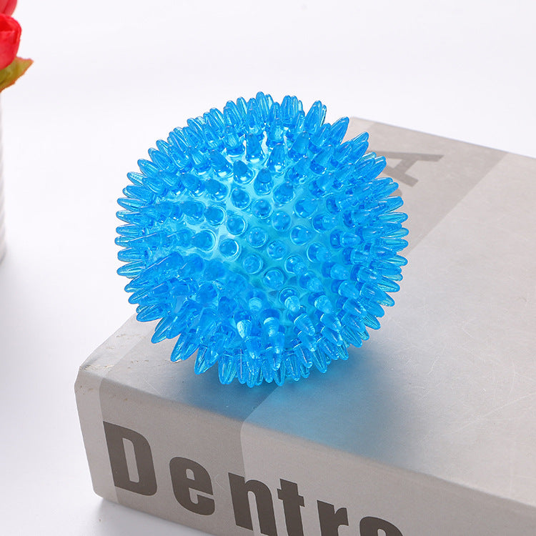 Spikey Squeaky Dog Ball