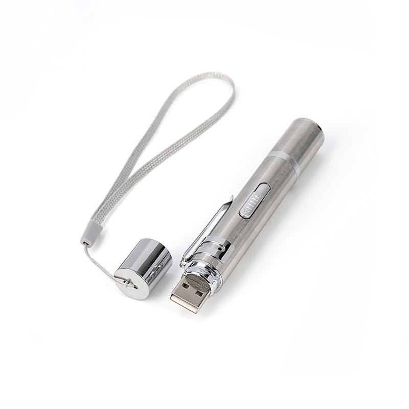 Cat Laser Pointer