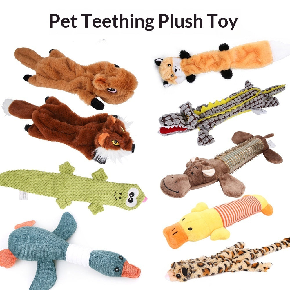 Squeaky And Crinkly Dog Toy