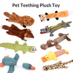 Squeaky And Crinkly Dog Toy