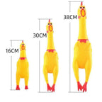 Squeaky Chicken Dog Toy